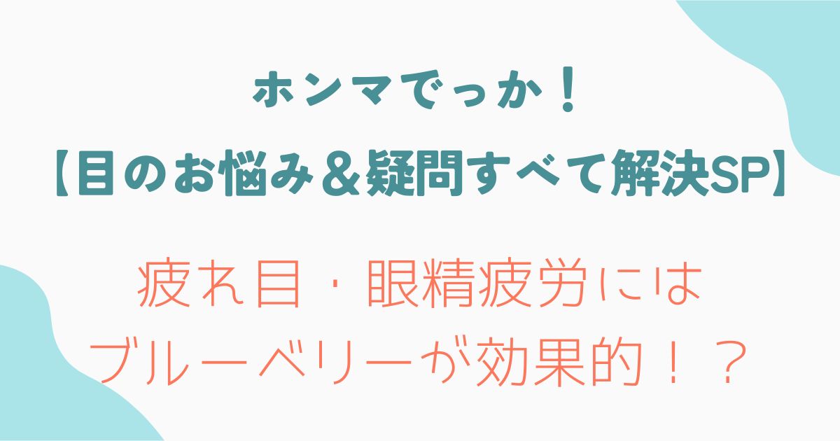 ホンマでっか！【目のお悩み＆疑問すべて解決SP】疲れ目・眼精疲労にはブルーベリーが効果的！？