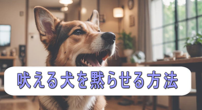 【吠える犬を黙らせる方法】飼い主に試して欲しい驚きの対策！