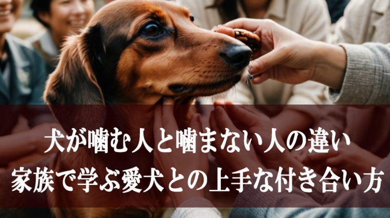 犬が噛む人と噛まない人の違い:家族で学ぶ愛犬との上手な付き合い方