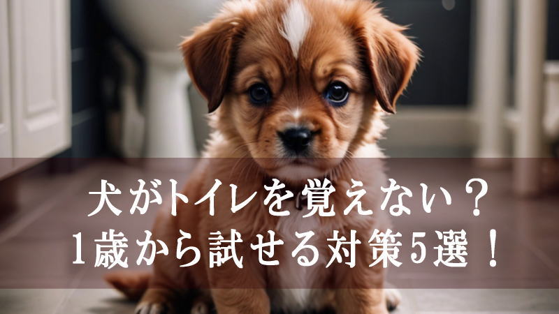 犬がトイレを覚えない？1歳から試せる対策5選！