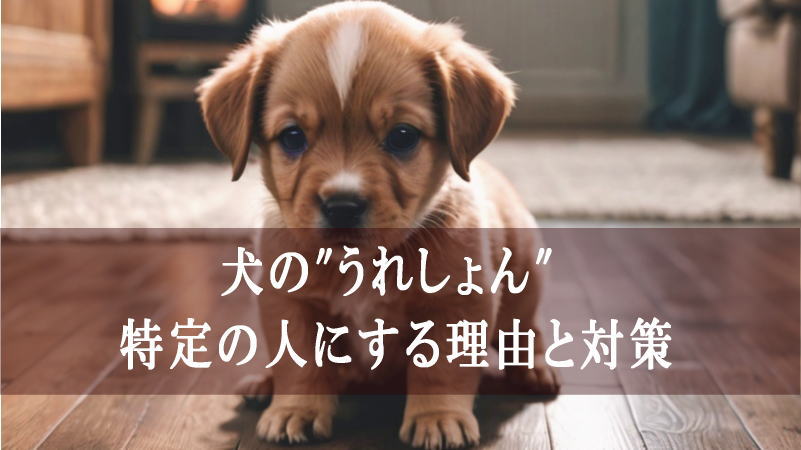 犬の"うれしょん" 特定の人にするのは何が理由？対策ってある？