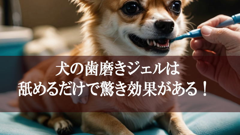 犬の歯磨きジェルは舐めるだけで驚き効果がある！